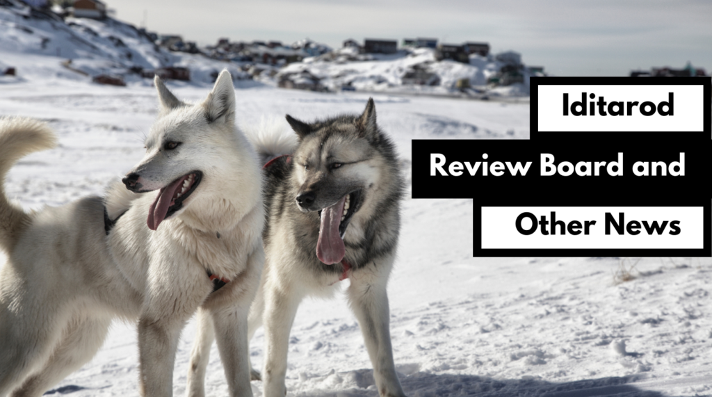 iditarod review board and other news